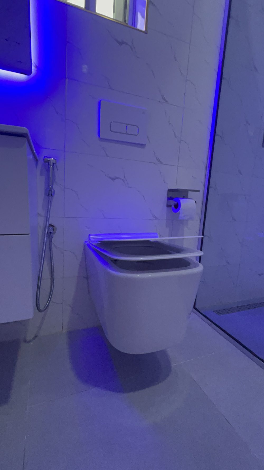 Ibadan Bathroom Renovation
